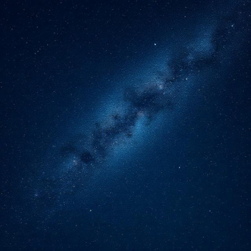 Untitled Item